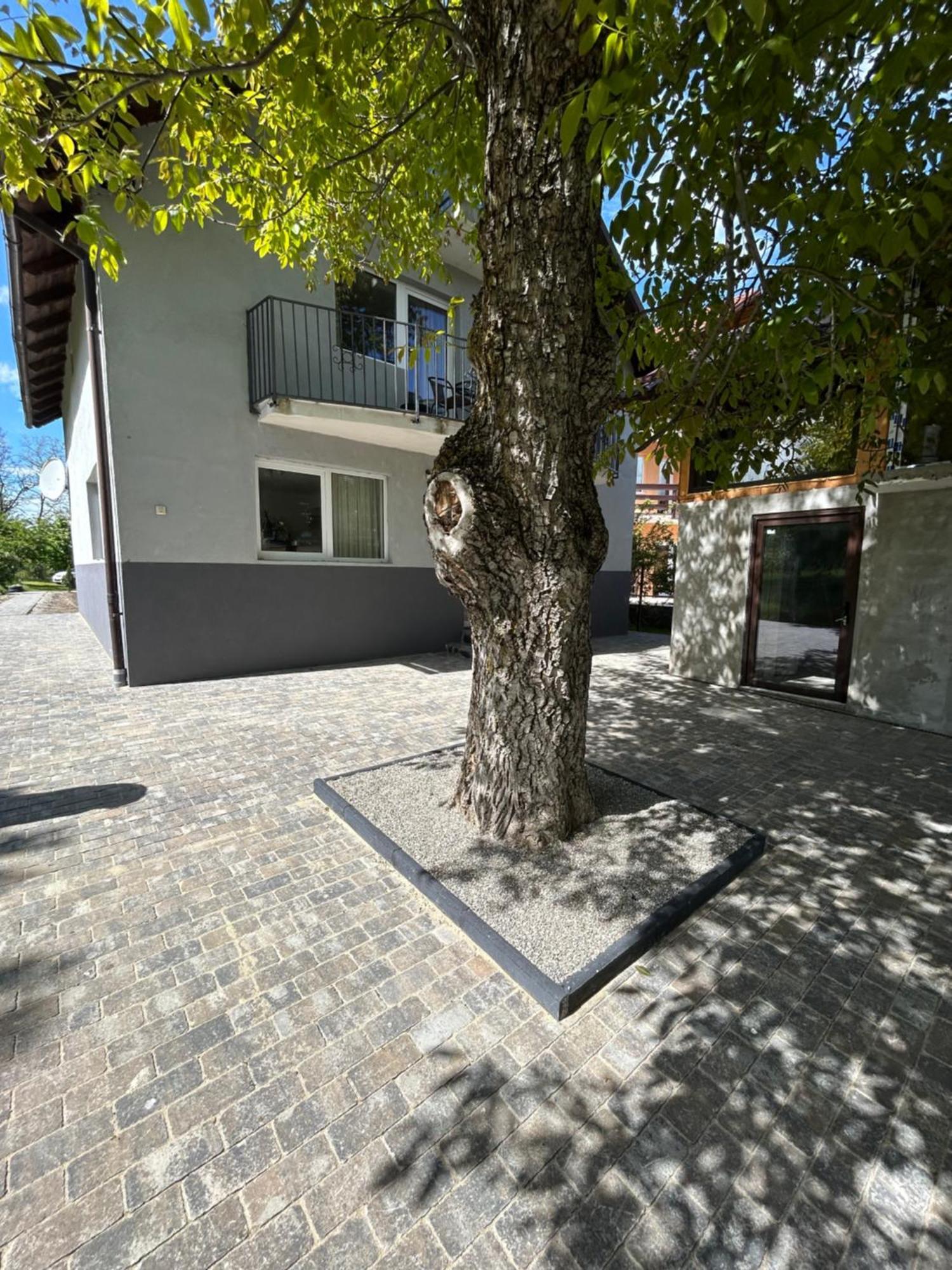 Casa Luca Ama Bran Villa Bran  Luaran gambar