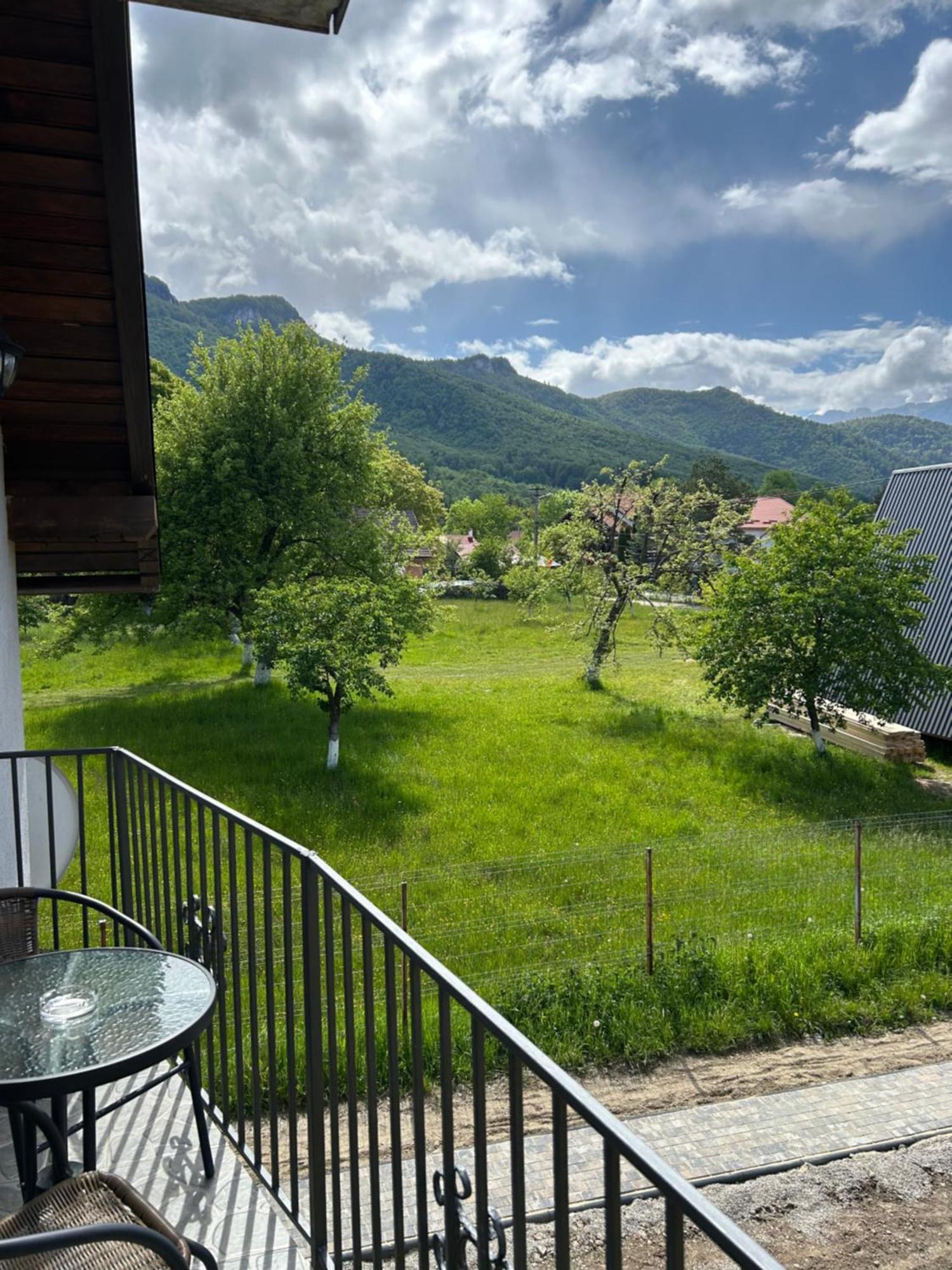 Casa Luca Ama Bran Villa Bran  Luaran gambar