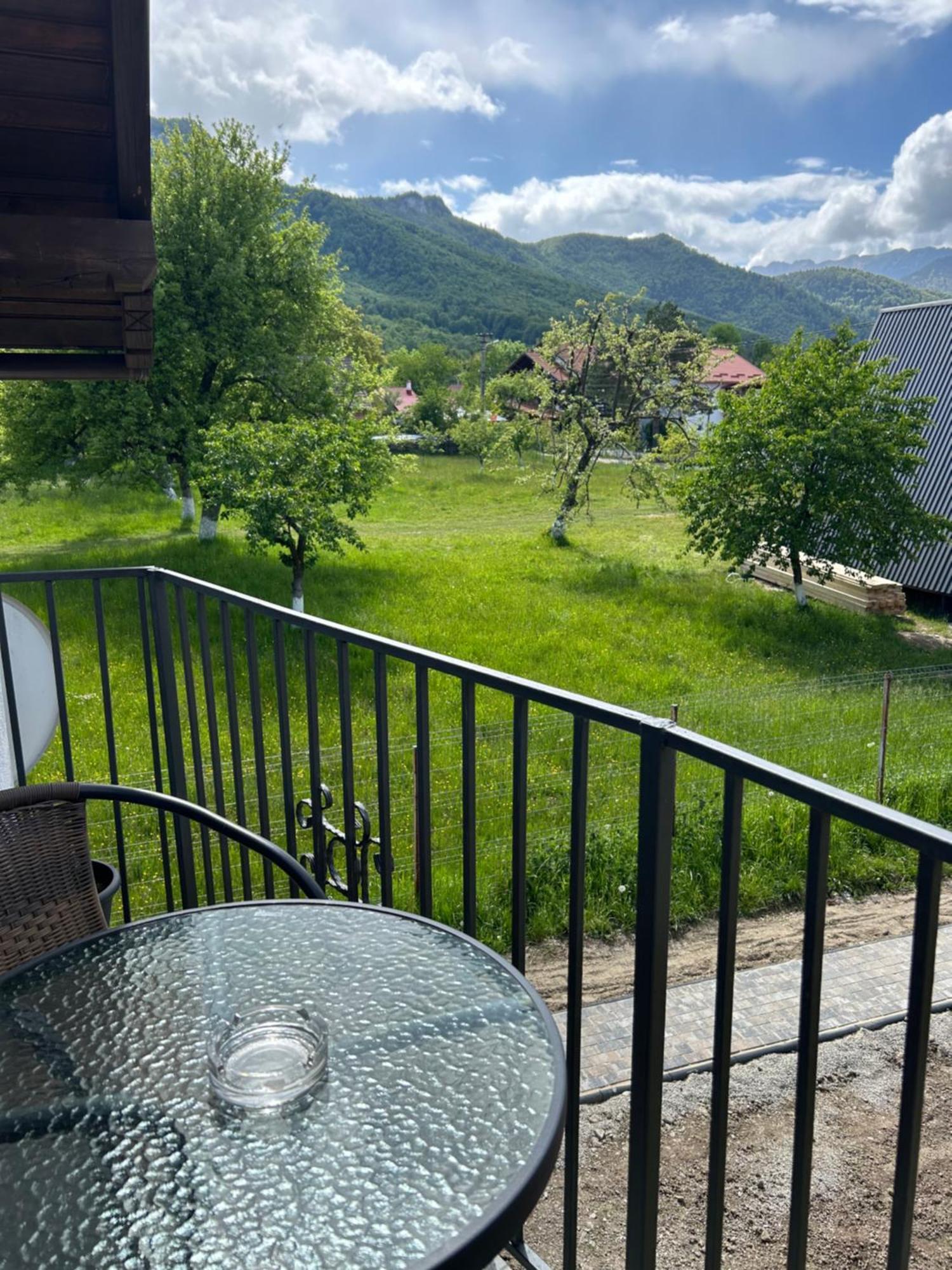 Casa Luca Ama Bran Villa Bran  Luaran gambar